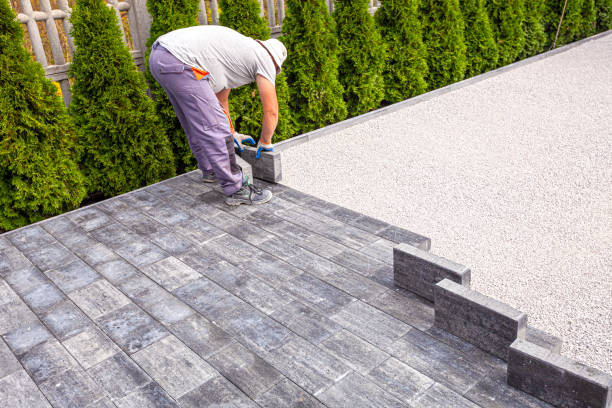Best Driveway Paving Contractor  in Iowa Colony, TX