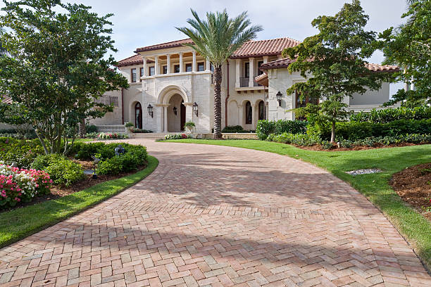 Best Affordable Driveway Paving  in Iowa Colony, TX