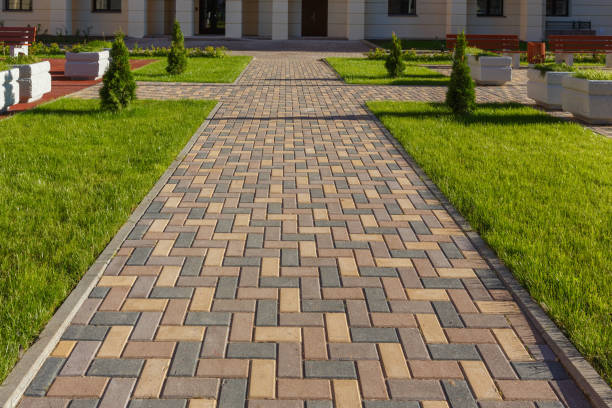 Best Custom Driveway Pavers  in Iowa Colony, TX